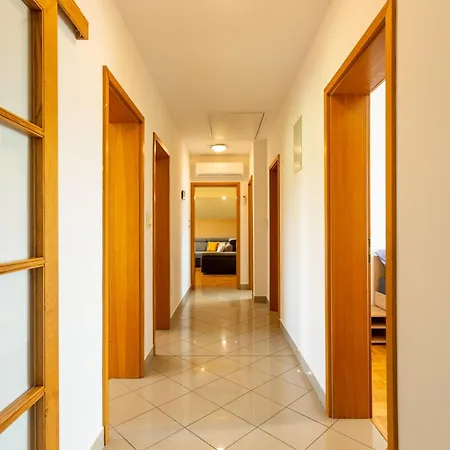 In The Village Petrovče