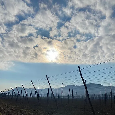 In The Village Apartament